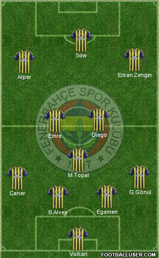 Fenerbahçe SK Formation 2015
