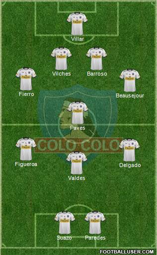 CSD Colo Colo Formation 2015