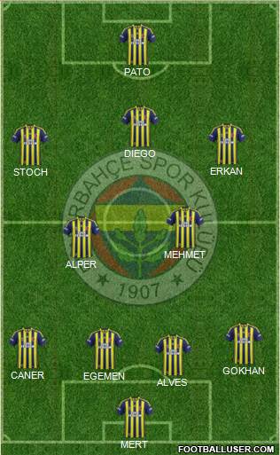 Fenerbahçe SK Formation 2015