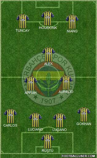 Fenerbahçe SK Formation 2015