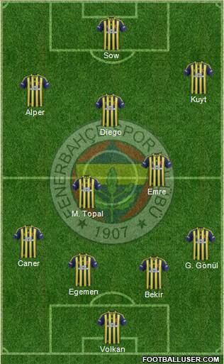 Fenerbahçe SK Formation 2015