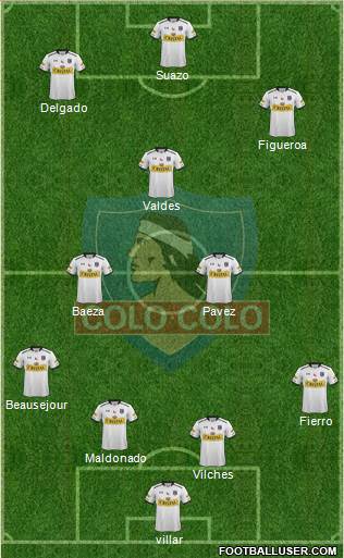 CSD Colo Colo Formation 2015