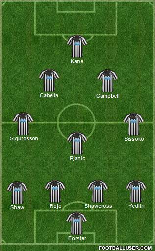 Newcastle United Formation 2015