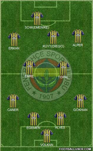 Fenerbahçe SK Formation 2015