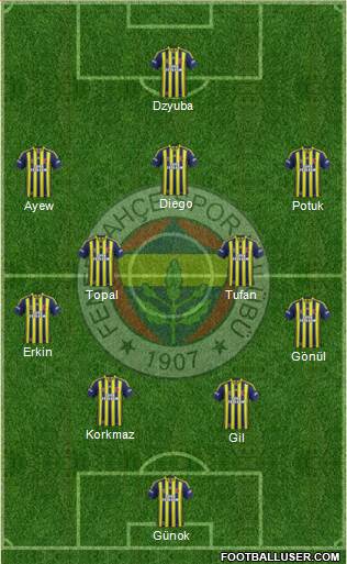 Fenerbahçe SK Formation 2015