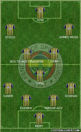 Fenerbahçe SK Formation 2015