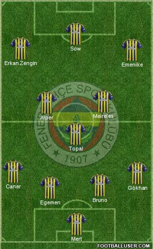 Fenerbahçe SK Formation 2015