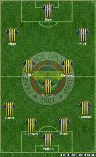 Fenerbahçe SK Formation 2015