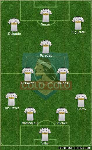 CSD Colo Colo Formation 2015