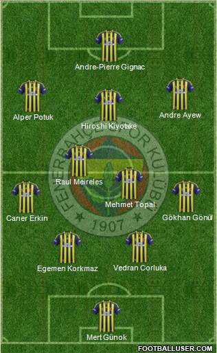 Fenerbahçe SK Formation 2015