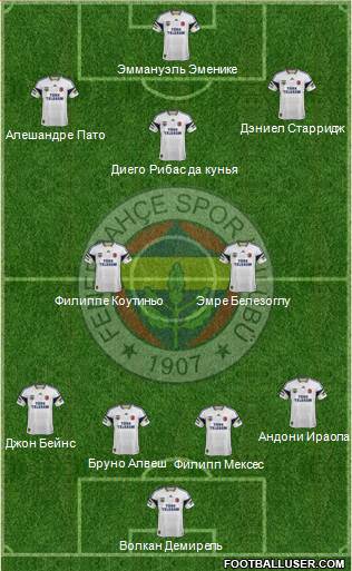 Fenerbahçe SK Formation 2015