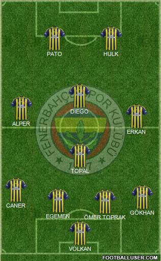 Fenerbahçe SK Formation 2015