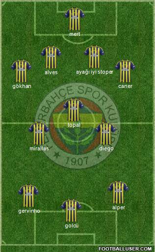 Fenerbahçe SK Formation 2015
