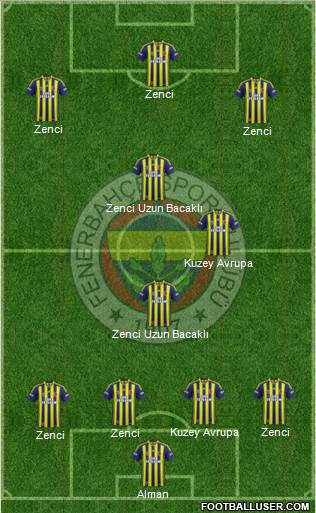 Fenerbahçe SK Formation 2015