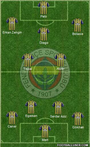 Fenerbahçe SK Formation 2015