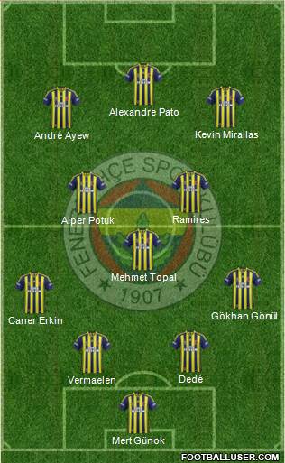 Fenerbahçe SK Formation 2015