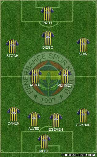 Fenerbahçe SK Formation 2015