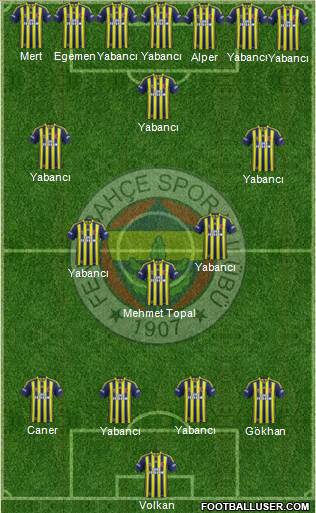 Fenerbahçe SK Formation 2015