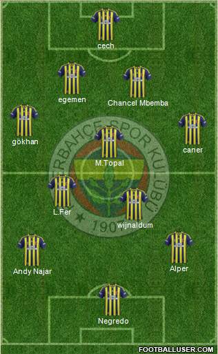 Fenerbahçe SK Formation 2015