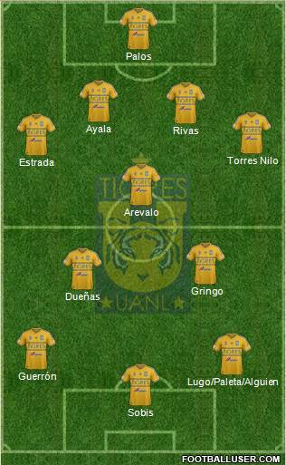 Club Universitario de Nuevo León Formation 2015
