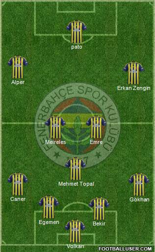 Fenerbahçe SK Formation 2015