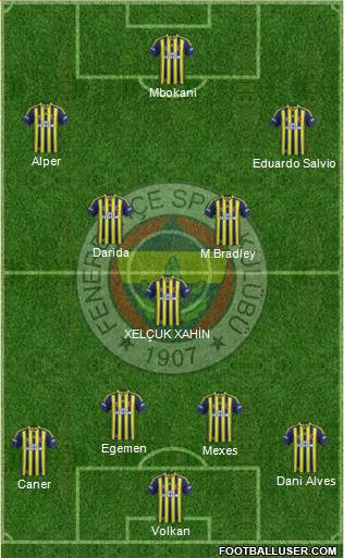 Fenerbahçe SK Formation 2015