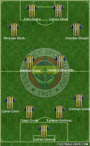 Fenerbahçe SK Formation 2015