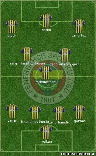Fenerbahçe SK Formation 2015
