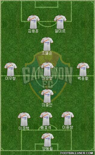 Gangwon FC Formation 2015