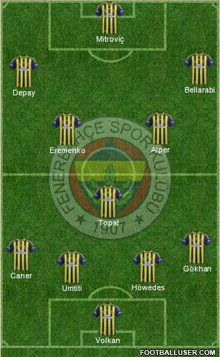 Fenerbahçe SK Formation 2015