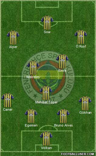 Fenerbahçe SK Formation 2015