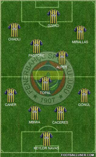 Fenerbahçe SK Formation 2015