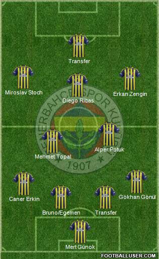 Fenerbahçe SK Formation 2015