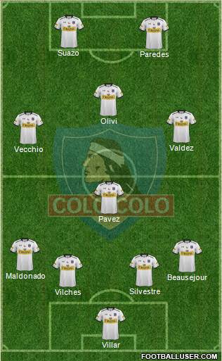 CSD Colo Colo Formation 2015