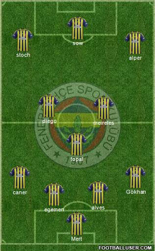 Fenerbahçe SK Formation 2015
