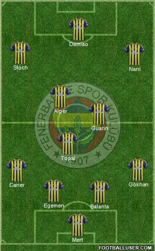 Fenerbahçe SK Formation 2015
