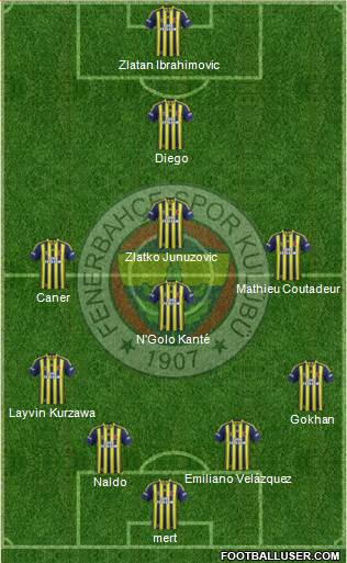 Fenerbahçe SK Formation 2015