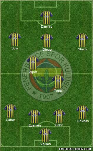 Fenerbahçe SK Formation 2015