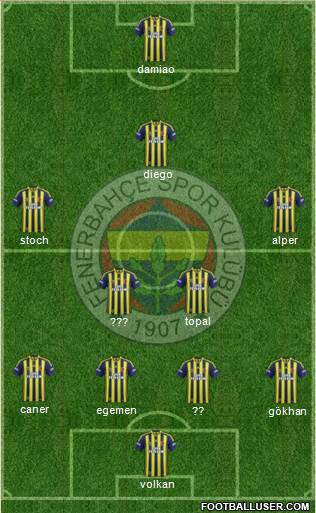 Fenerbahçe SK Formation 2015