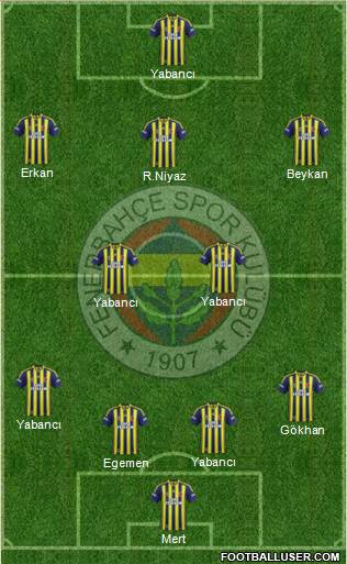 Fenerbahçe SK Formation 2015