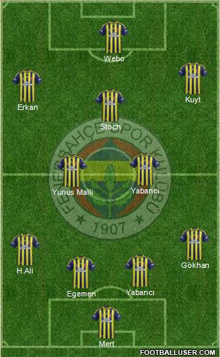 Fenerbahçe SK Formation 2015