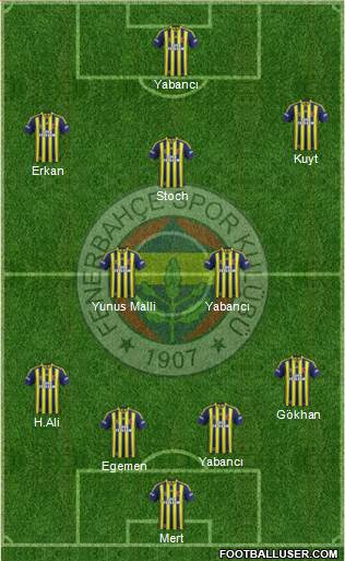 Fenerbahçe SK Formation 2015