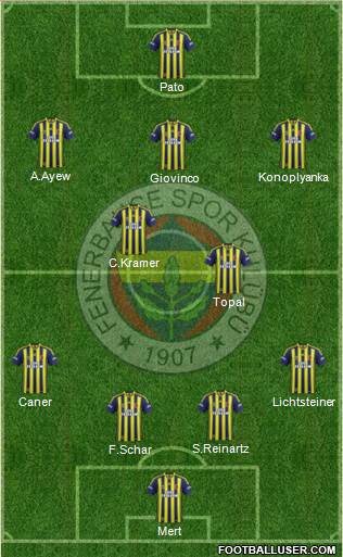 Fenerbahçe SK Formation 2015
