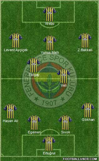 Fenerbahçe SK Formation 2015