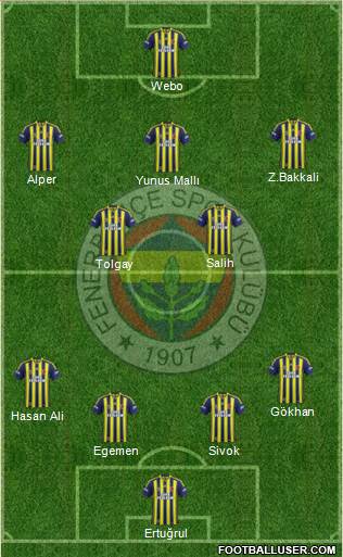 Fenerbahçe SK Formation 2015