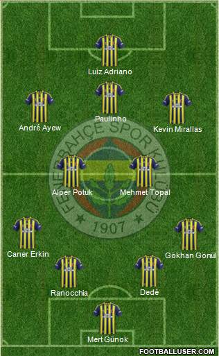 Fenerbahçe SK Formation 2015