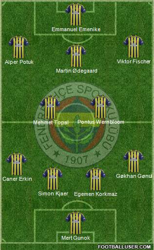 Fenerbahçe SK Formation 2015