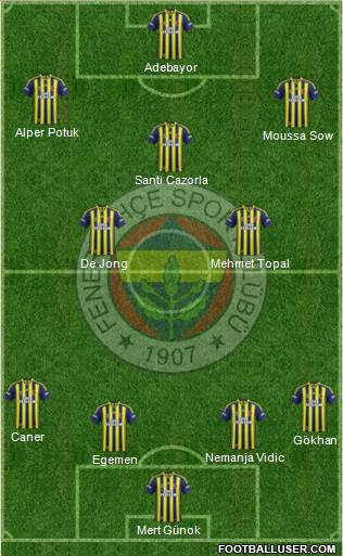 Fenerbahçe SK Formation 2015