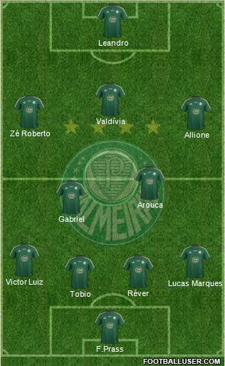 SE Palmeiras Formation 2015