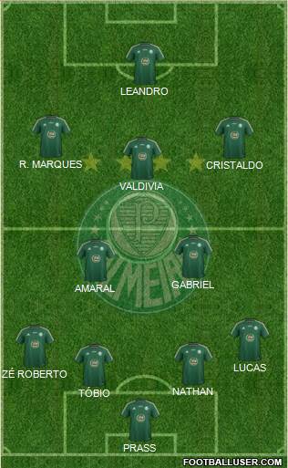 SE Palmeiras Formation 2015